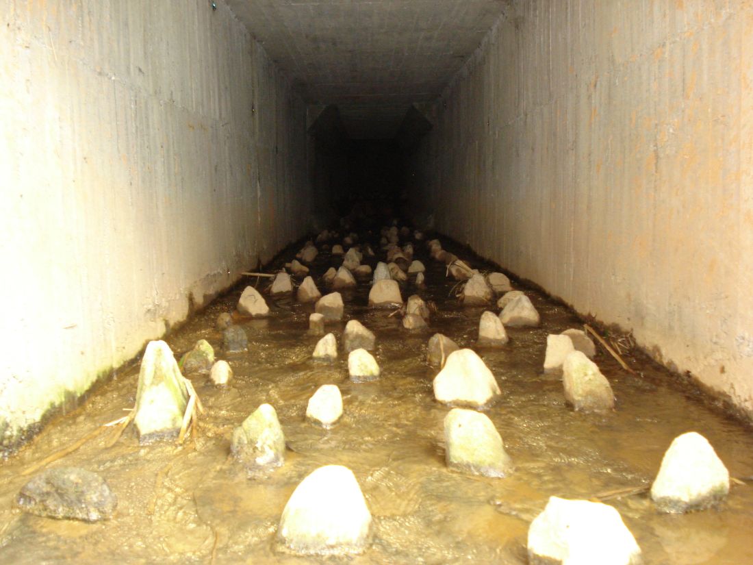 Canalizadas Quebradas Grupo 4