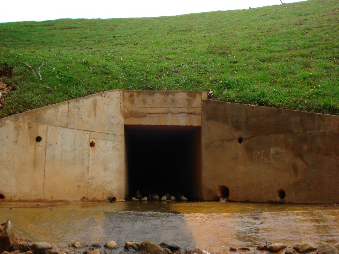 Canalizadas Quebradas Grupo 4